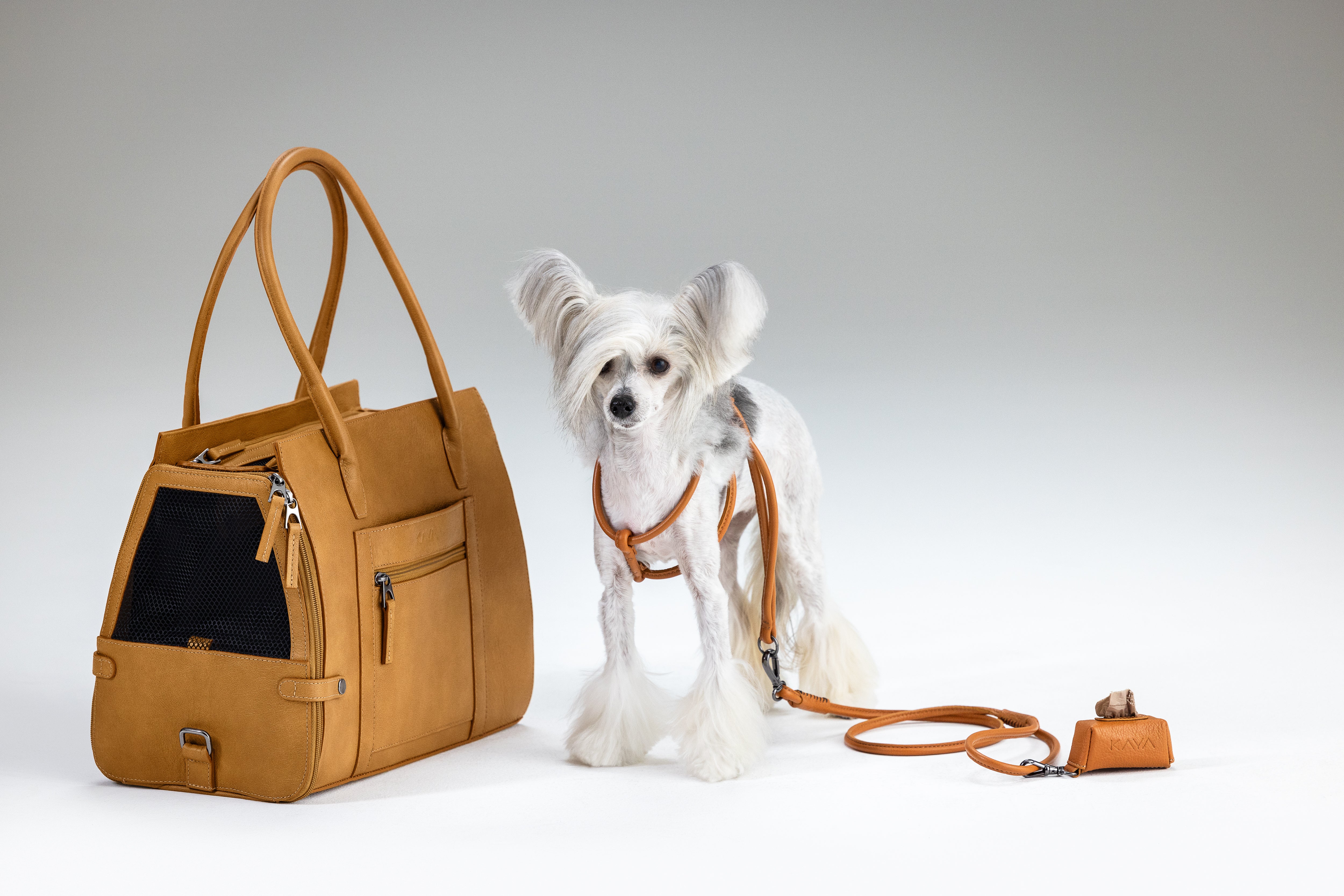 Brown pet carrier with a dog on a leash against a gray background