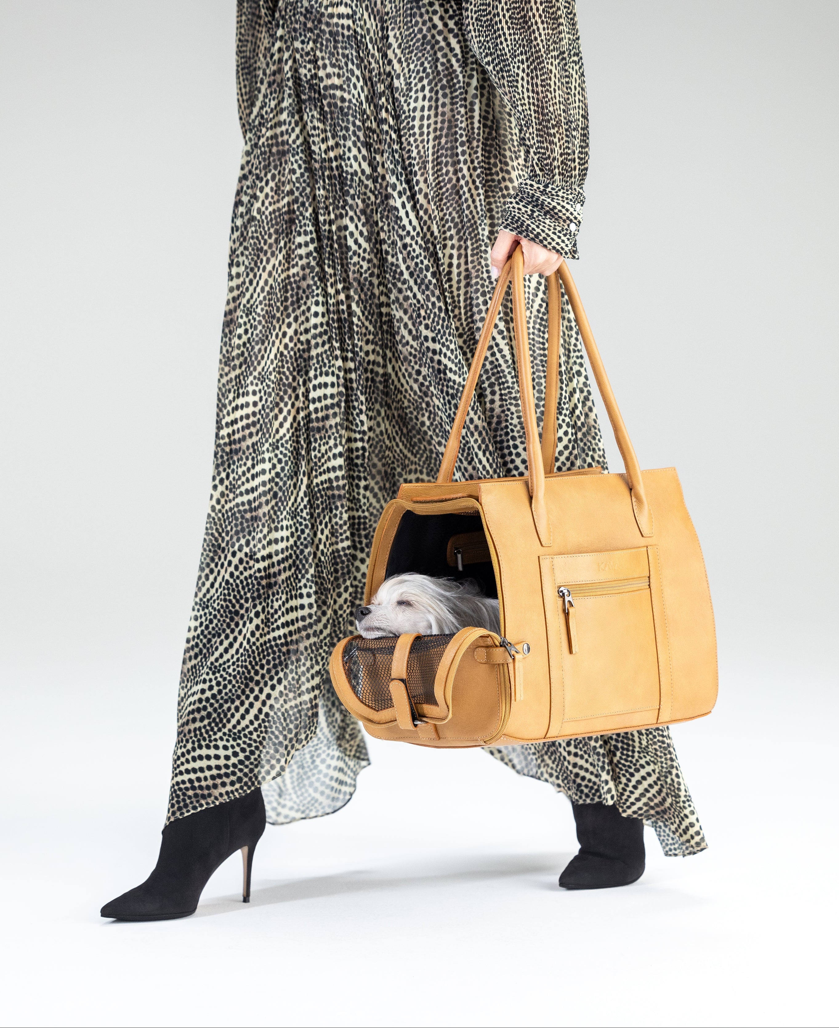 Person holding a caramel pet carrier with a dog inside on a white background